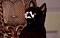 zlodred's Avatar
